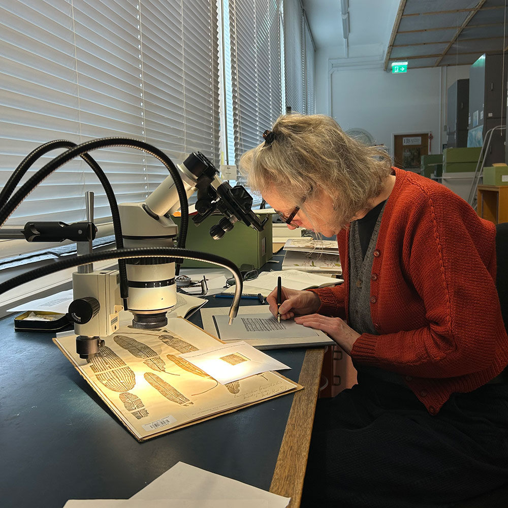 Susan Cross Jeweller